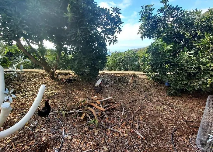 La Resbala - Casa Tajinaste Casa vacanze *