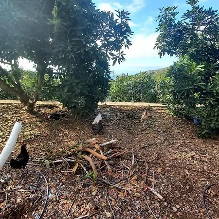 La Resbala - Casa Tajinaste Vakantiehuis *